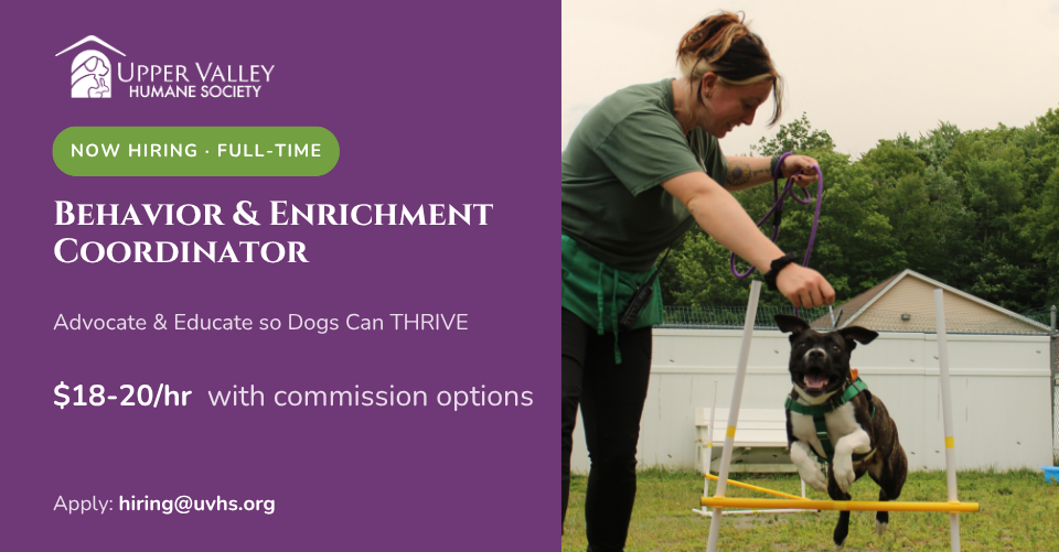 A woman holds a leash and encourages a dog who is jumping over a bar during agility training. The text reads: Upper Valley Humane Society now hiring - full-time Behavior & Enrichment Coordinator. Advocate & Educate so Dogs Can THRIVE $18-$20/hr with commission options. Apply: hiring@uvhs.org.